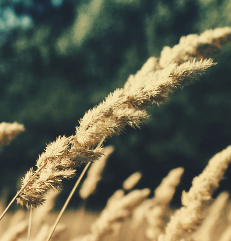 购买后秒发的DDOS网页端平台